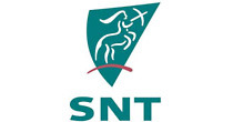 www.snt-ag.de